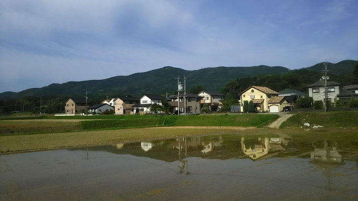DSC_0044.JPG