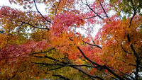 20171122arita-3.jpg
