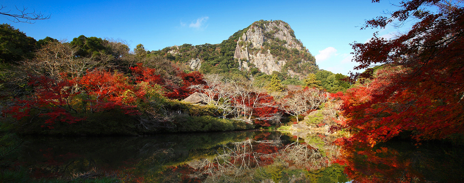 Mifuneyama Gardens