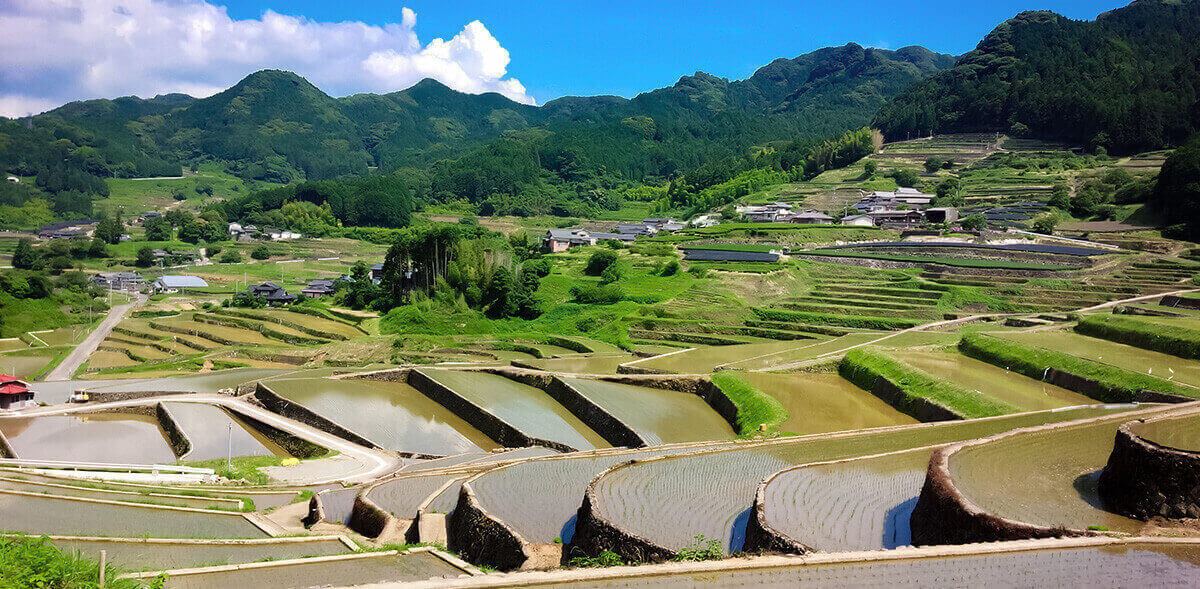 鬼木の棚田